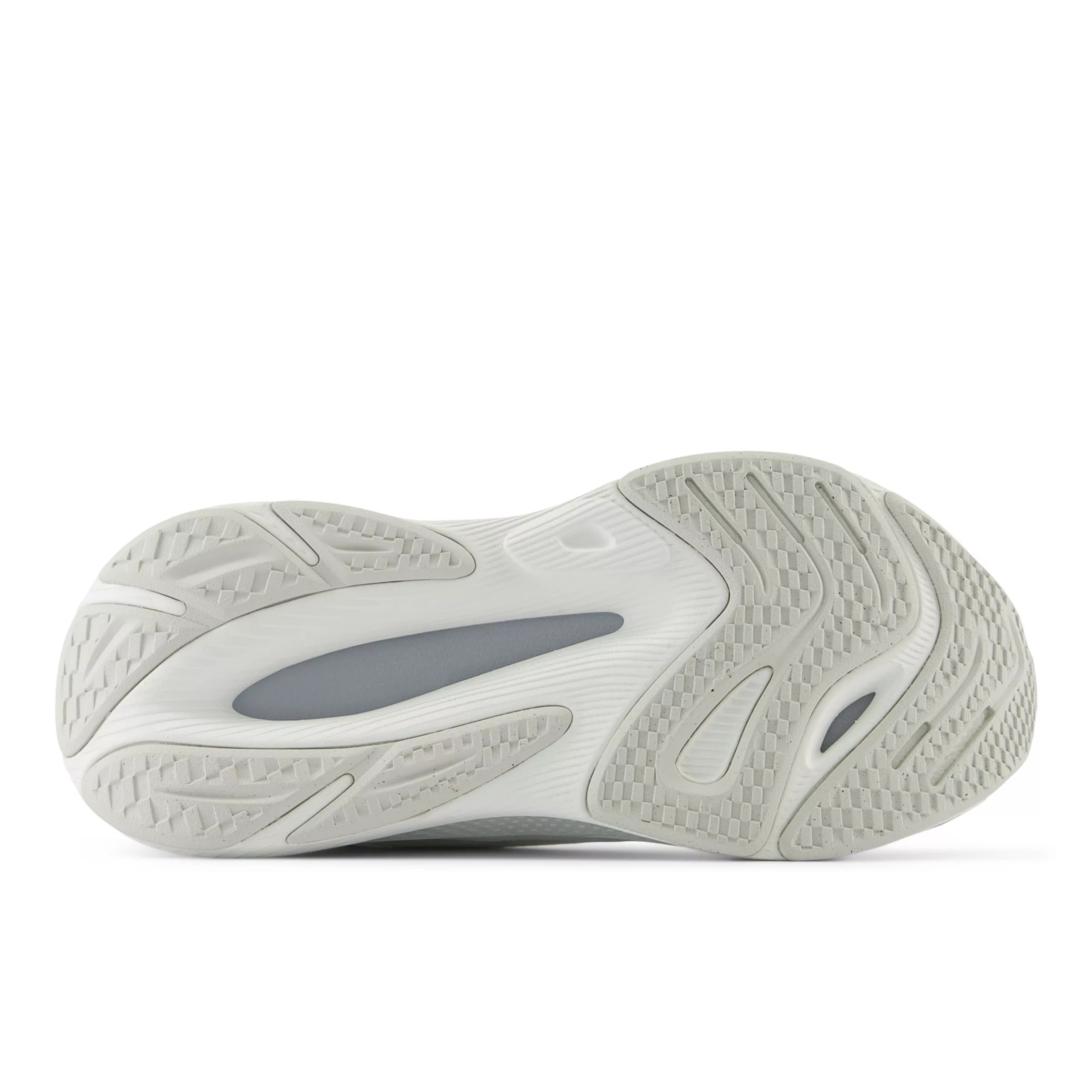 FuelCell Walker Elite - 5