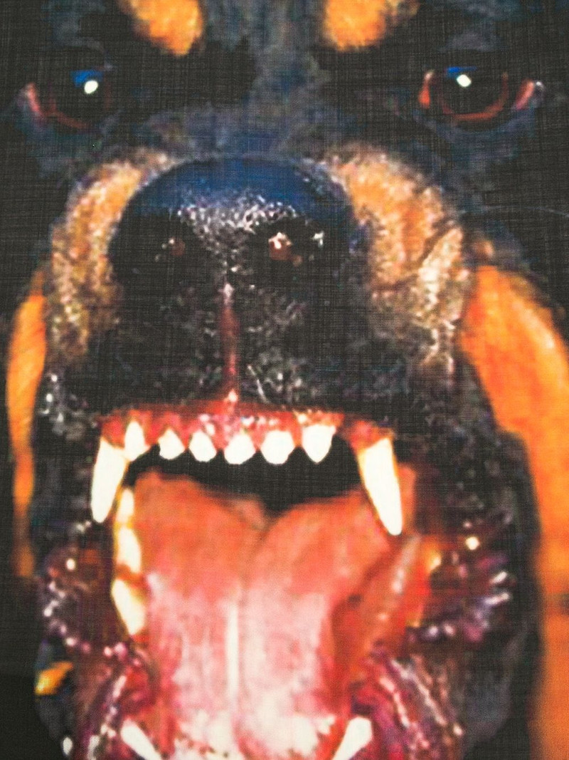 rottweiler 인쇄 scarf 3