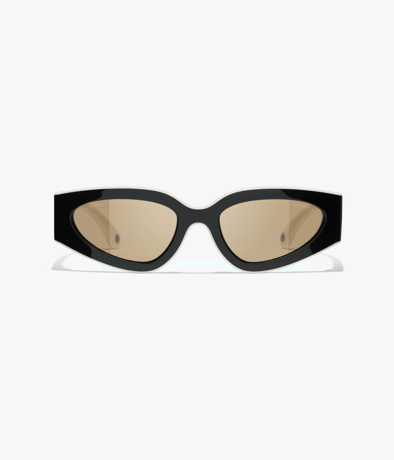Cat Eye Sunglasses 1