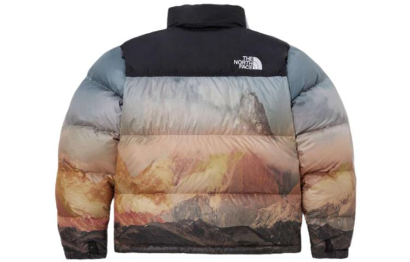 The North Face THE NORTH FACE 1996 Novelty Nuptse Jacket 'Multicolor' NJ1DP76B outlook