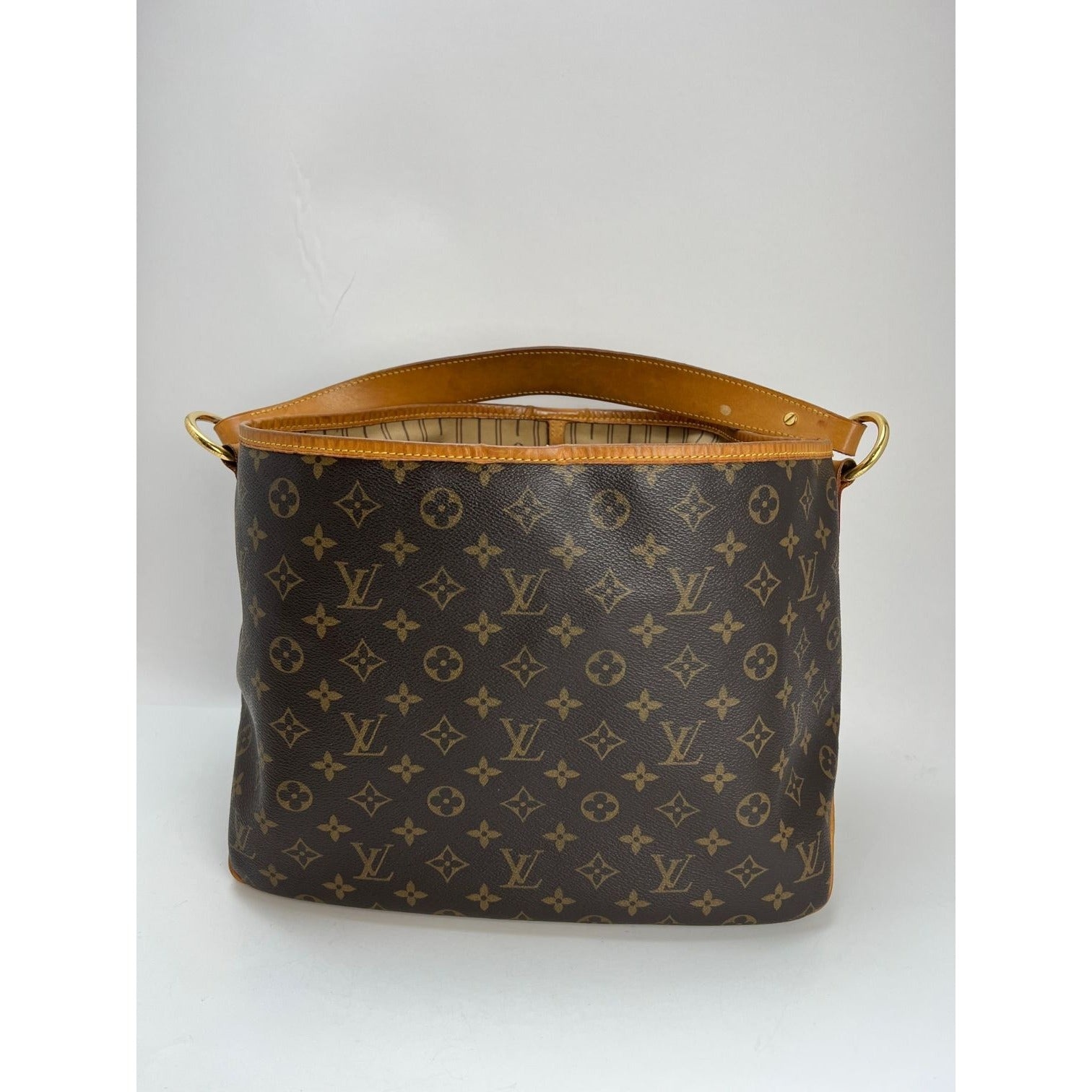 Louis Vuitton Monogram Delightful Mm 531681