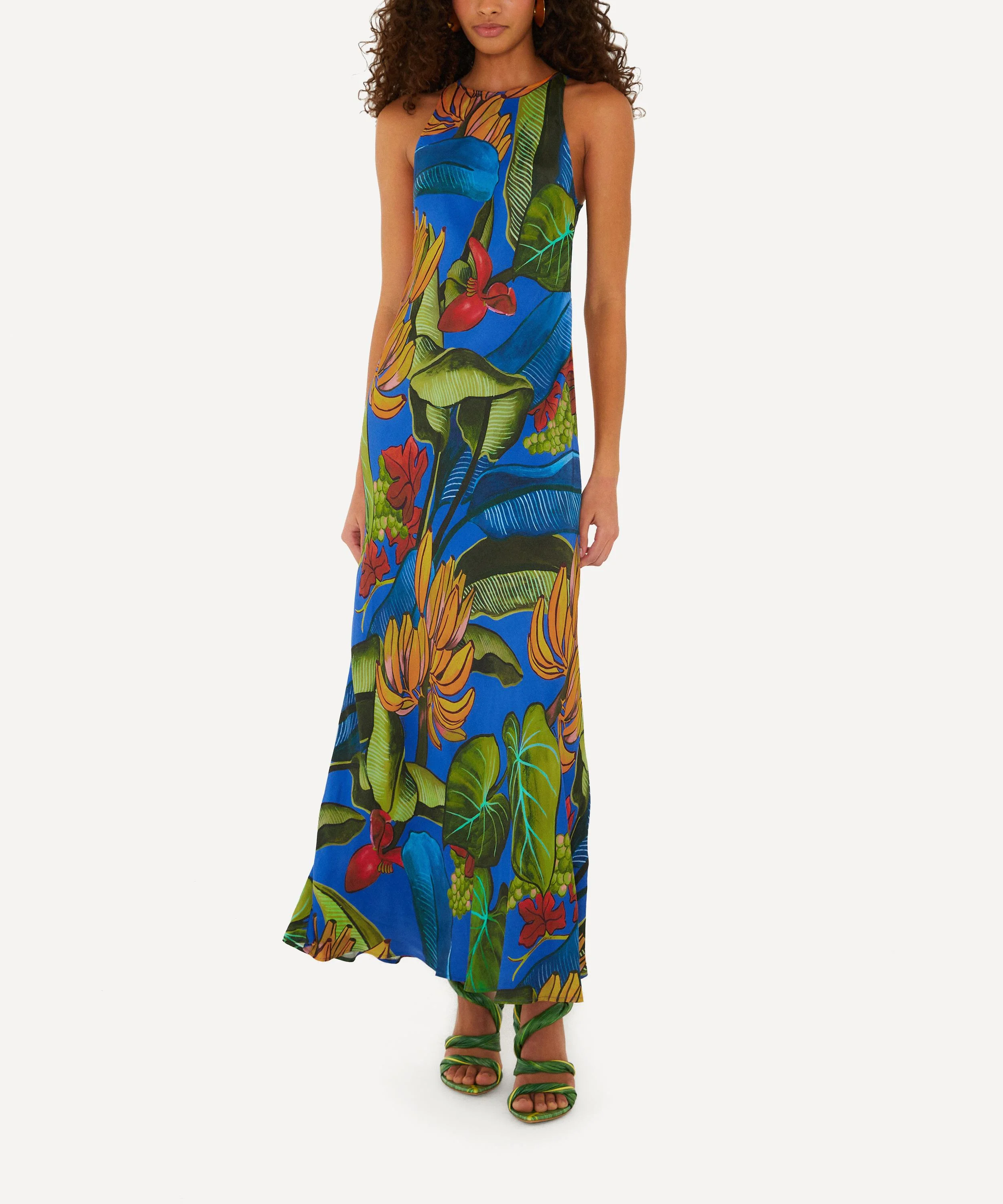 Blue Banana Grapes Sleeveless Maxi Dress - 1