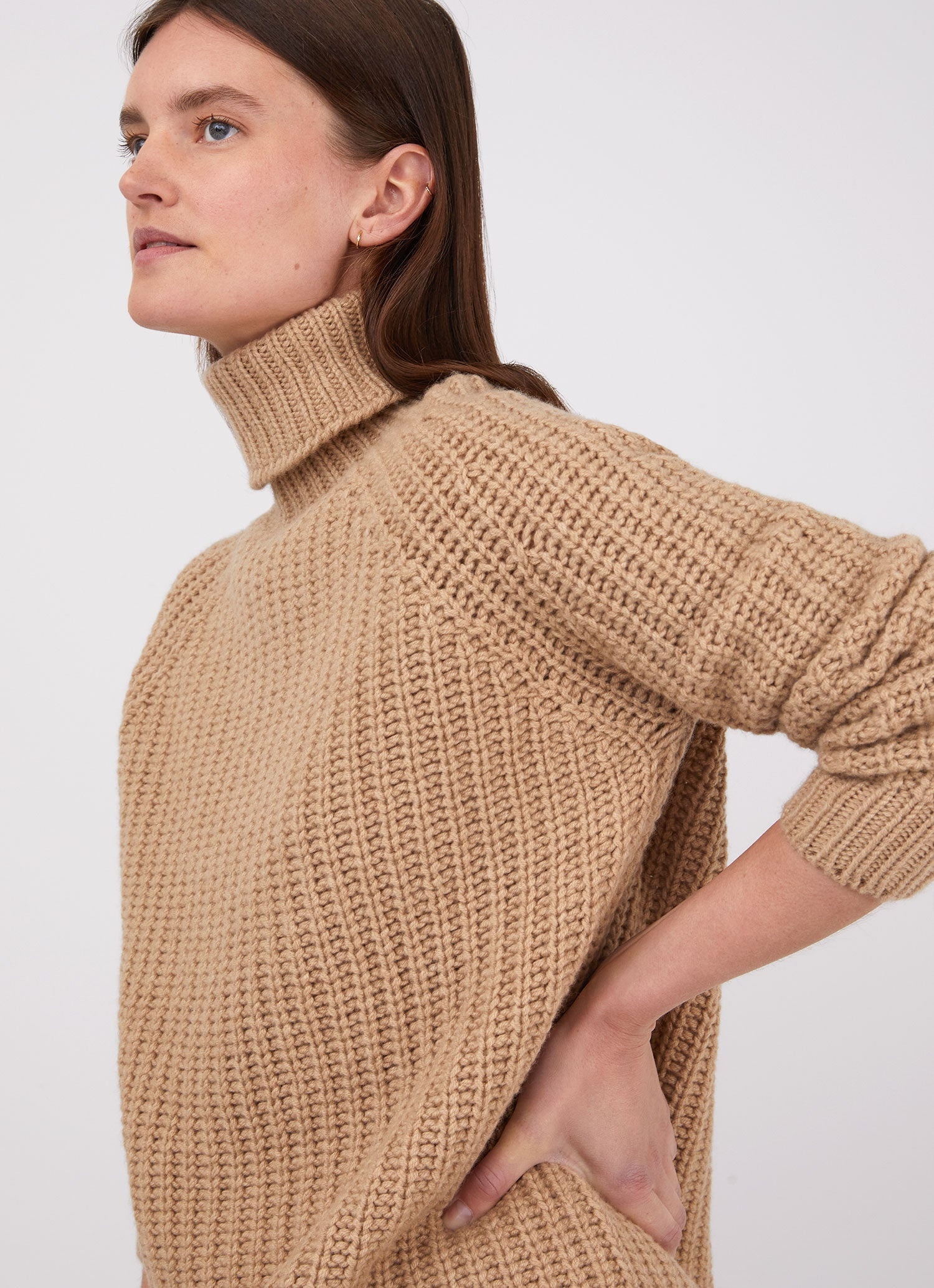 Chunky Roll Neck Jumper - 1
