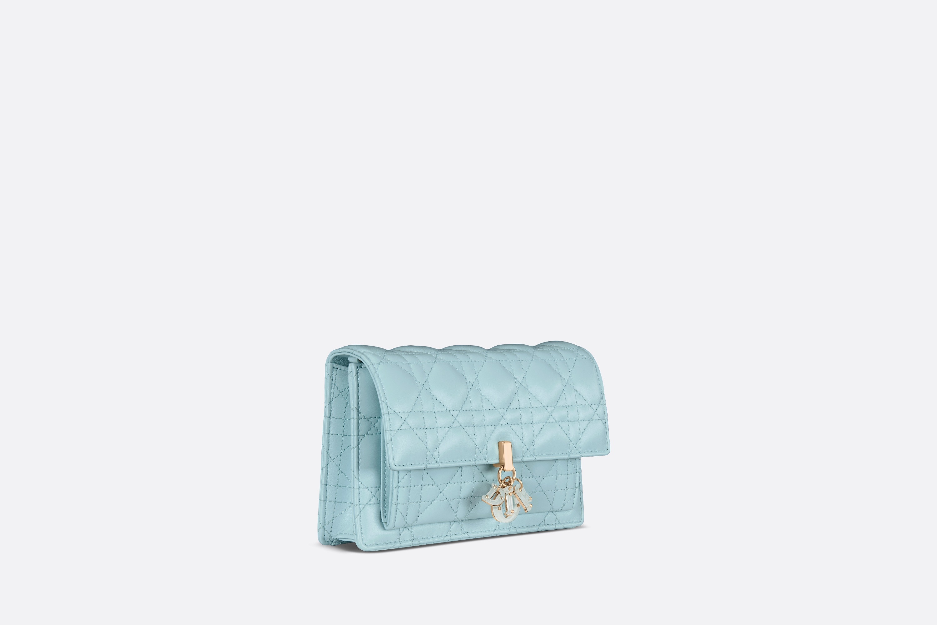My Dior Daily Chain Pouch - 2