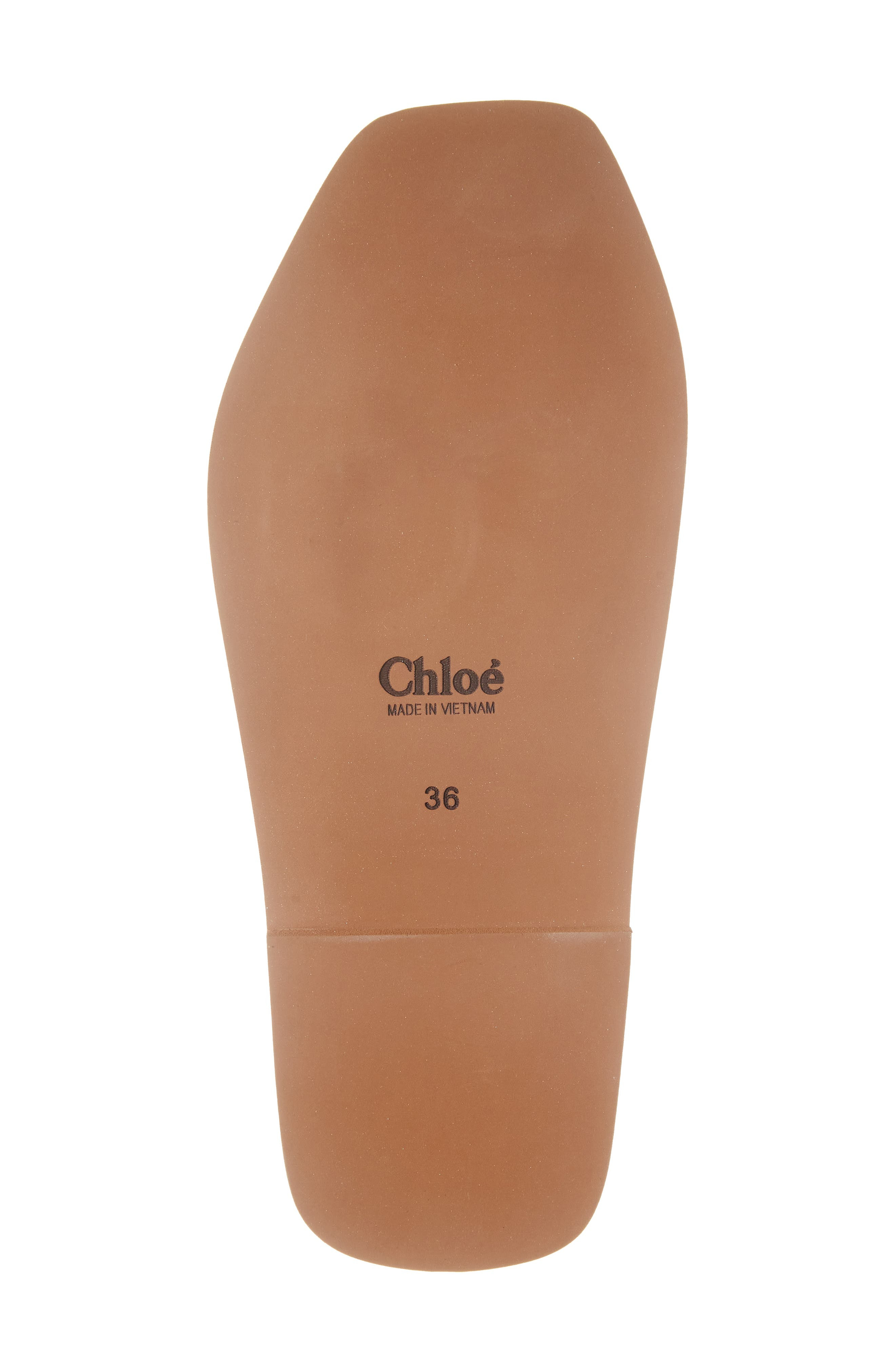 Chloé Woody Slide Sandal in Blushy Beige at Nordstrom - 6