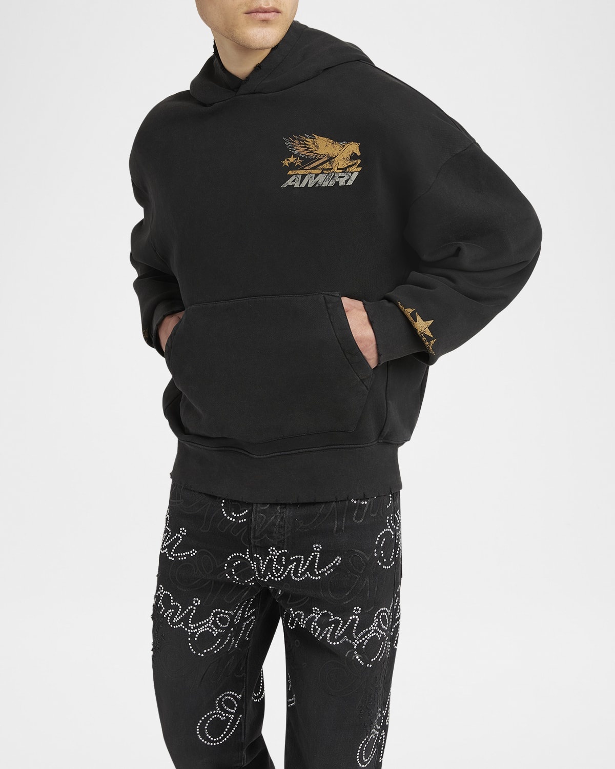 アミリ Vintage Pegasus パーカー / スウェットも! Amiri Vintage Wash Pegasus Hoodie in Black | FWRD