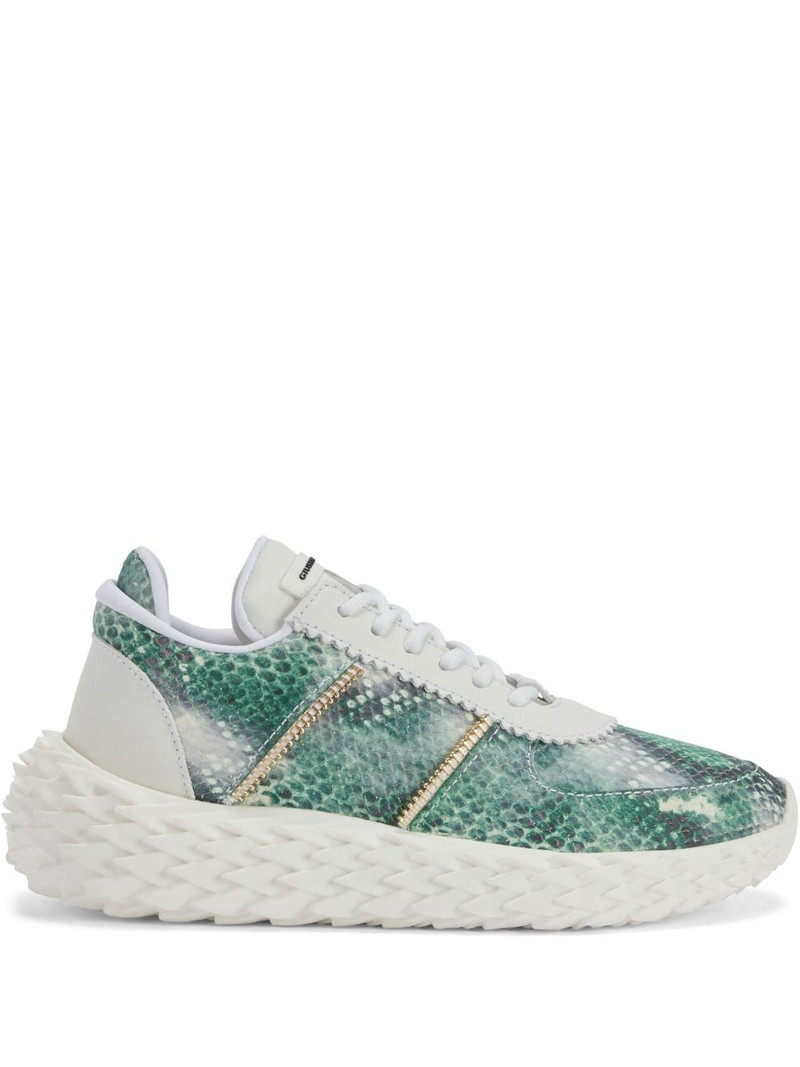 Urchin trainers 1