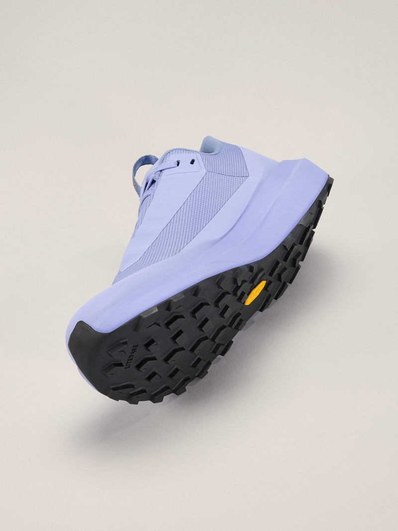 Norvan LD 4 GTX Shoe 5