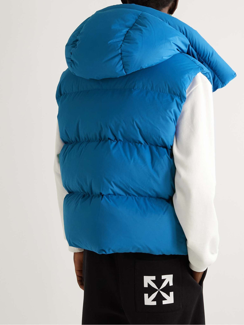 Bounce Printed Quilted Shell Down Coat 4