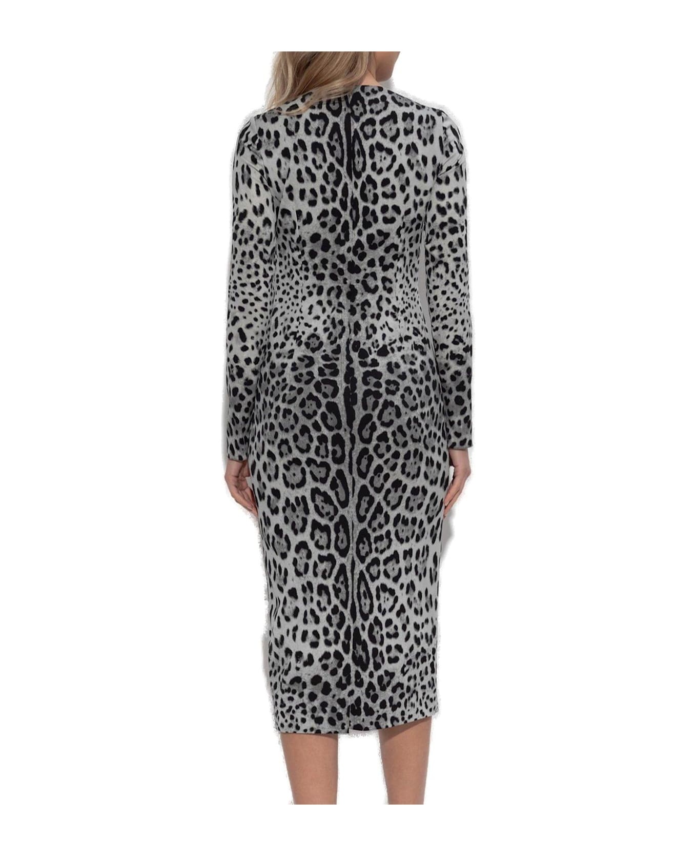 Animal Printed Midi Dress - 3