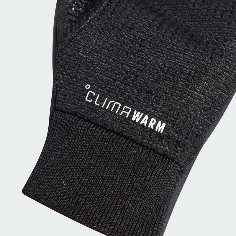 Terrex CLIMAWARM Gloves 3