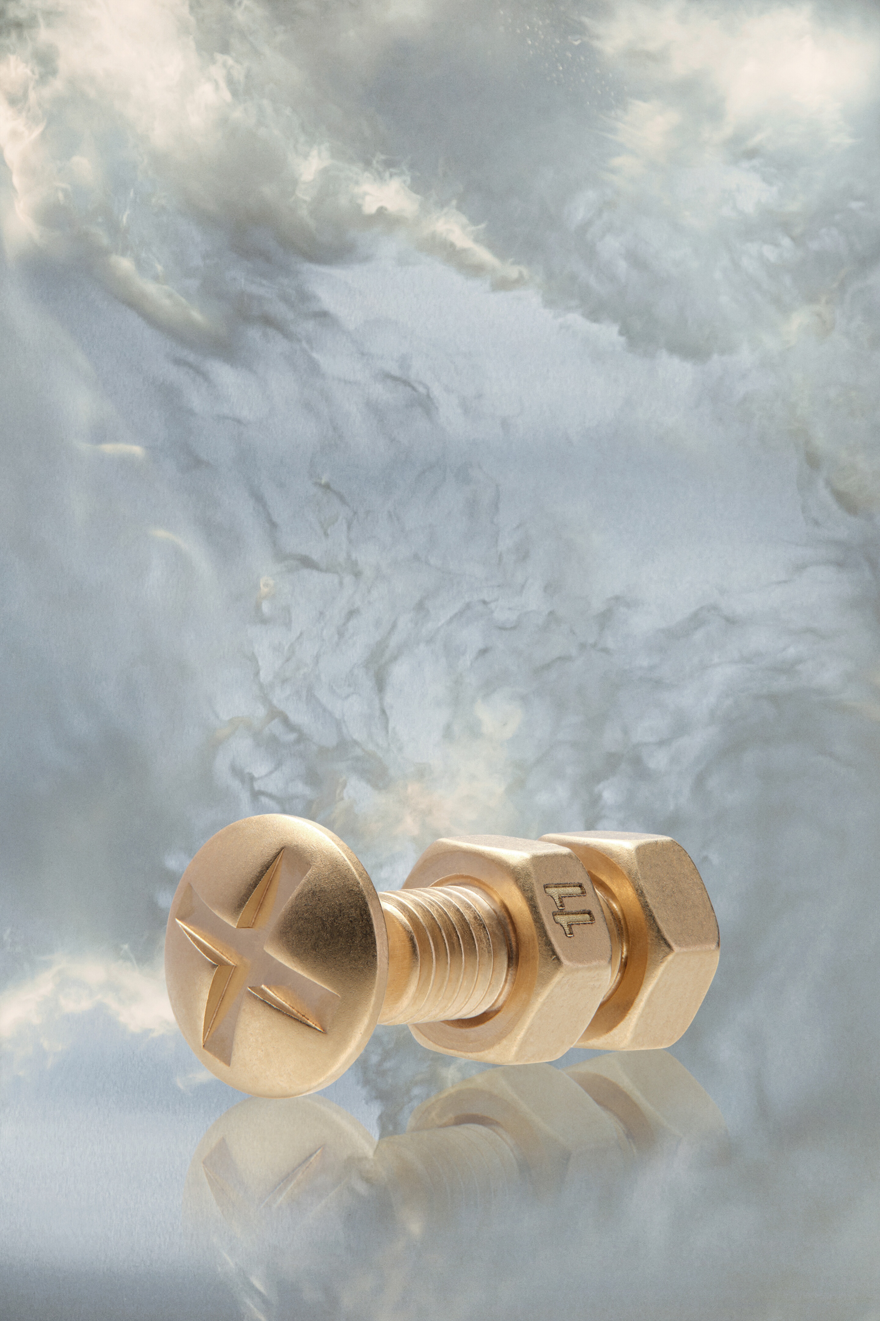 Bolt and nut screw earring - 1