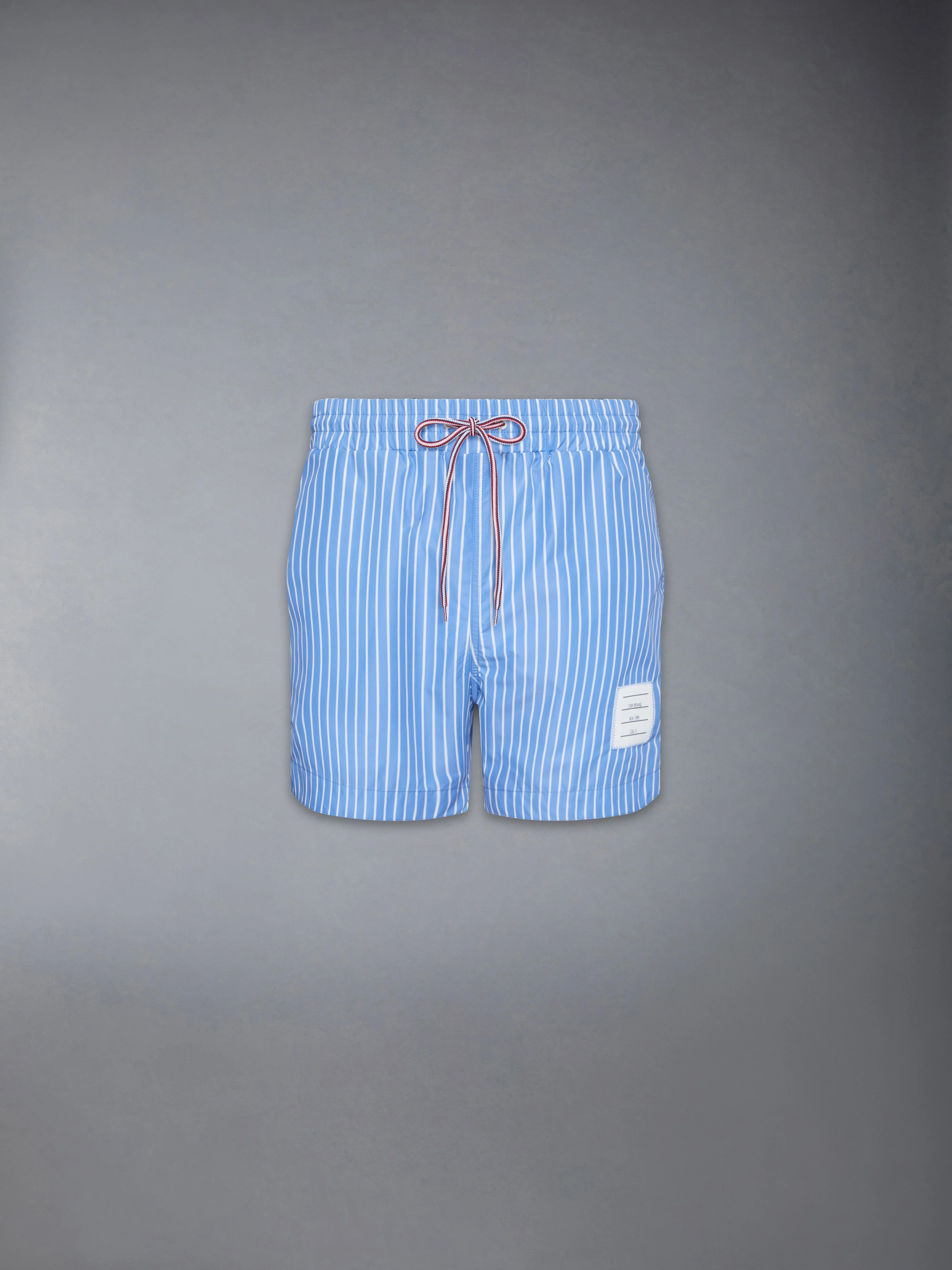 PINSTRIPE PRINTED TECH SWIM SHORTS - 1