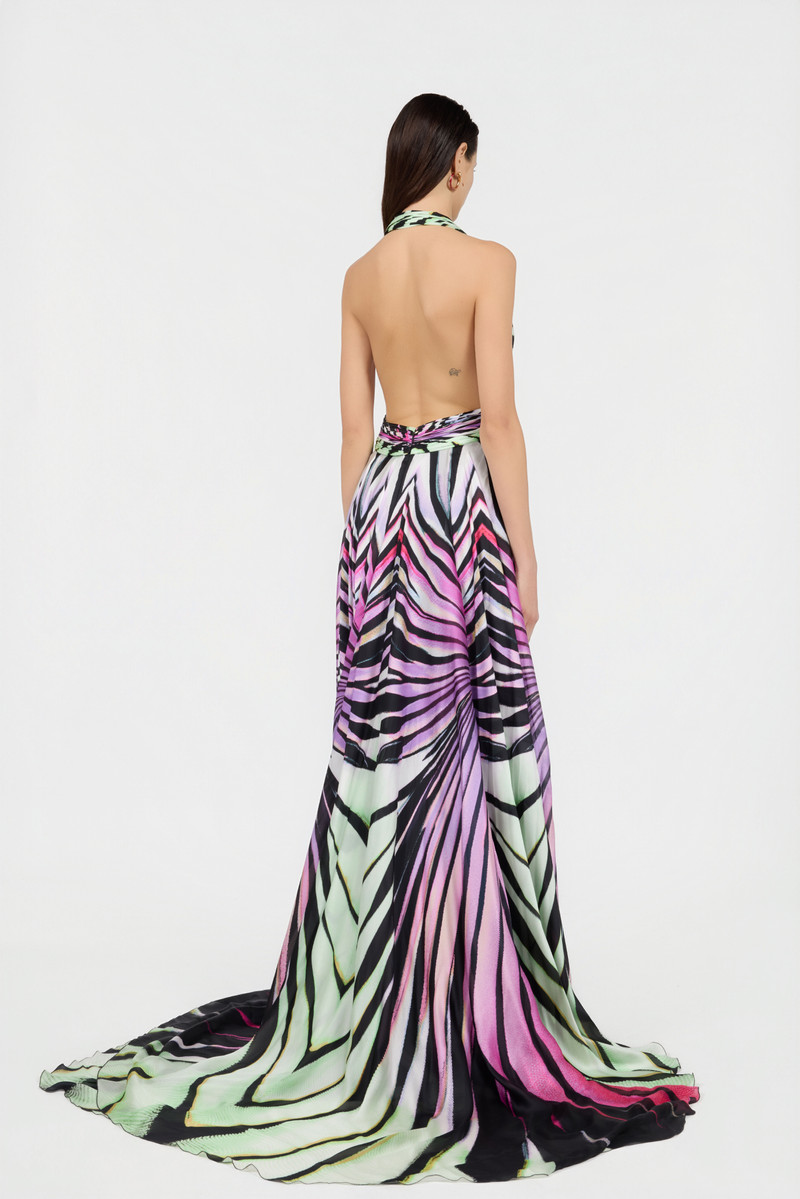 Ray of Paradise Print Silk Maxi Dress 4
