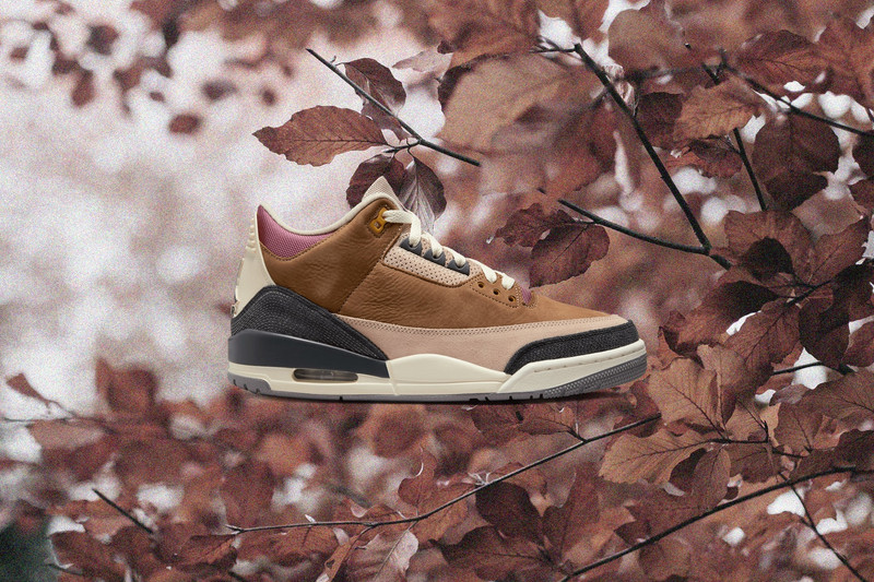 Jordan AIR JORDAN 3 RETRO SE - ARCHAEO BROWN/DARK SMOKE GREY/FOSSIL STONE outlook