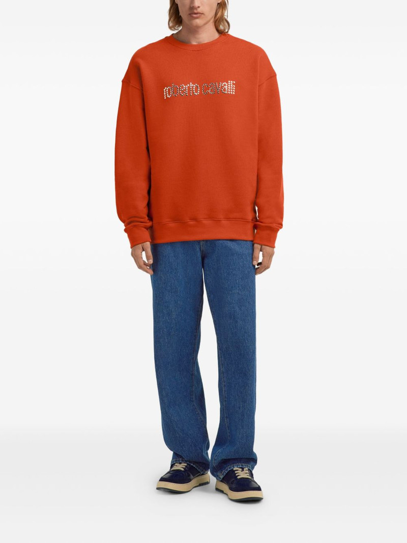 Roberto Cavalli logo-lettering sweatshirt outlook