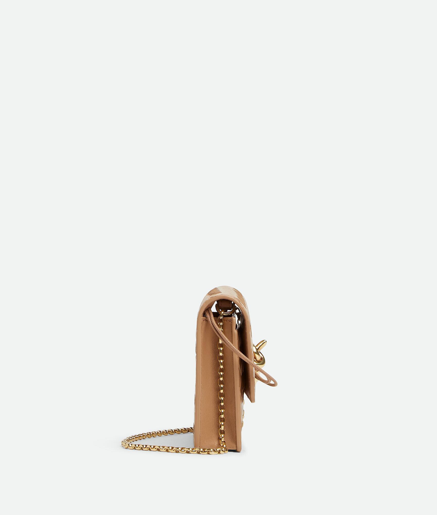 Andiamo Wallet on Chain - 5