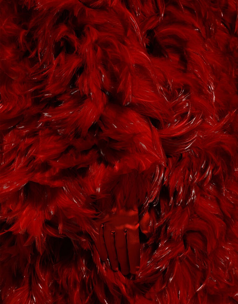 Organza coat with rooster feather embellishment 6