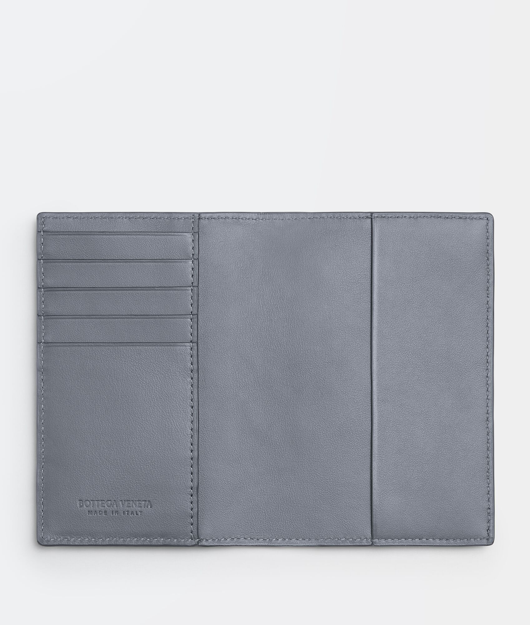 passport case - 2