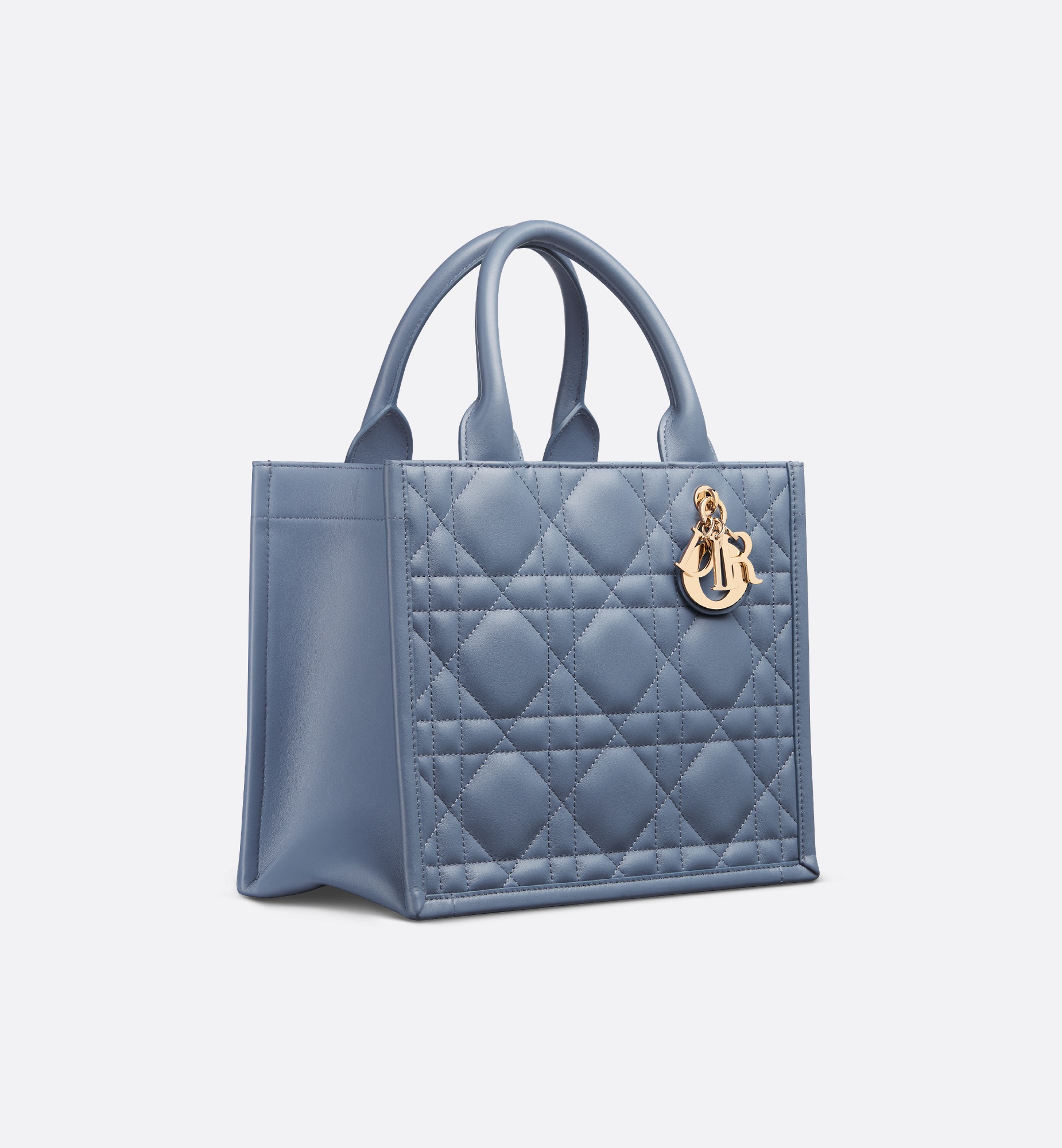 Small Dior Book Tote - 2