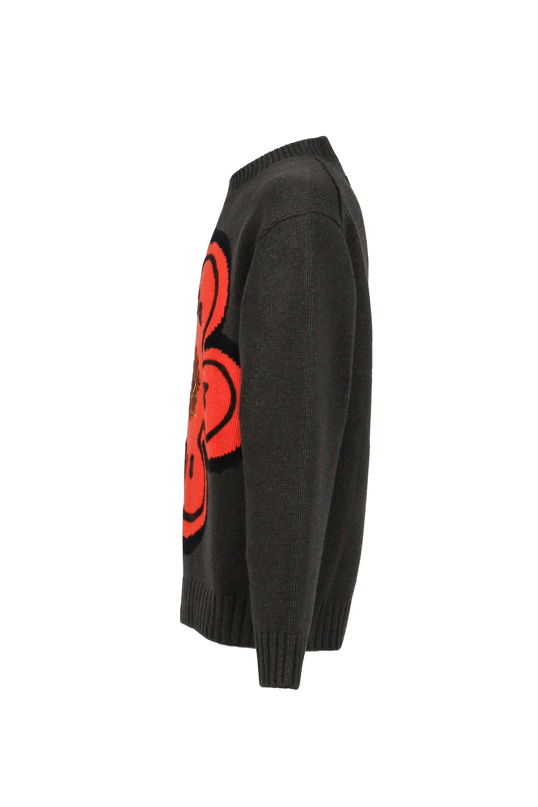 RWS KENZO FUTURA JUMPER / KHA - 3