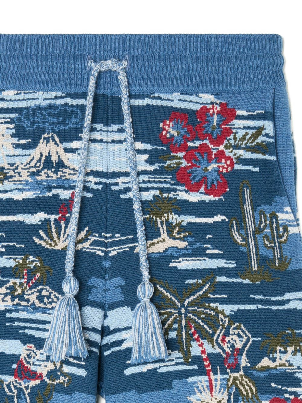Tex-Hawaii Roundtrip shorts - 5