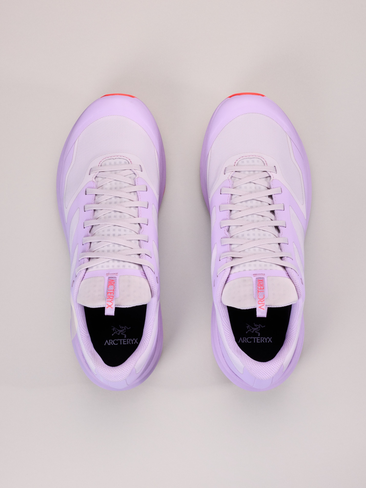 Norvan LD 3 GTX Shoe - 3