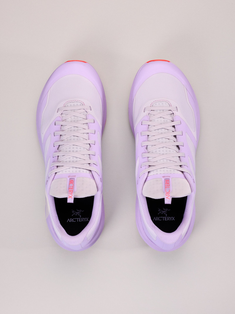 Norvan LD 3 GTX Shoe 3