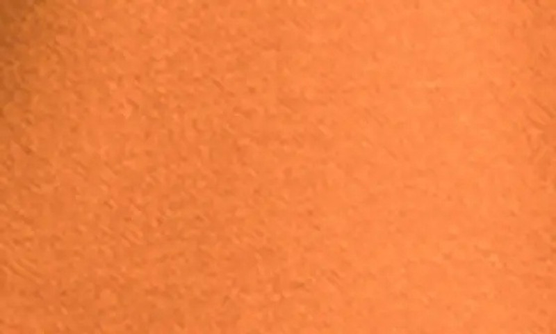 Evolution Pullover Hoodie in Desert Rust/Tnf White 5