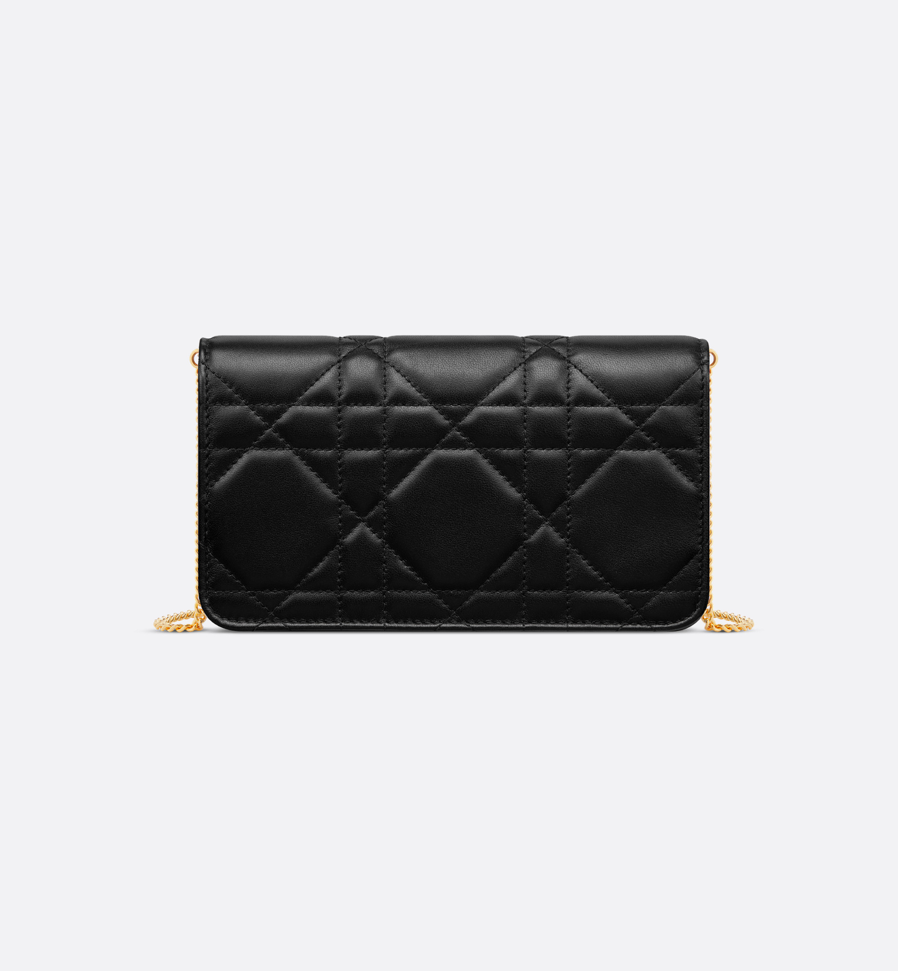 Miss Caro Pouch with Chain - 5