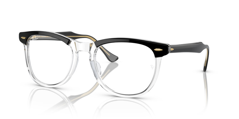 EAGLE EYE TRANSITIONS® 1
