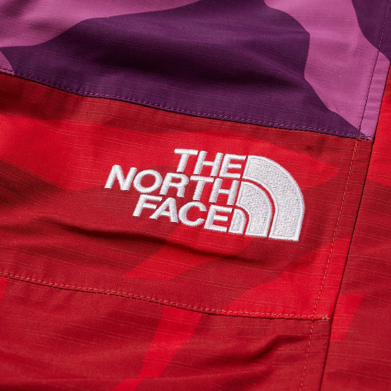 The North Face The North Face XX KAWS Moutain Light Pant outlook
