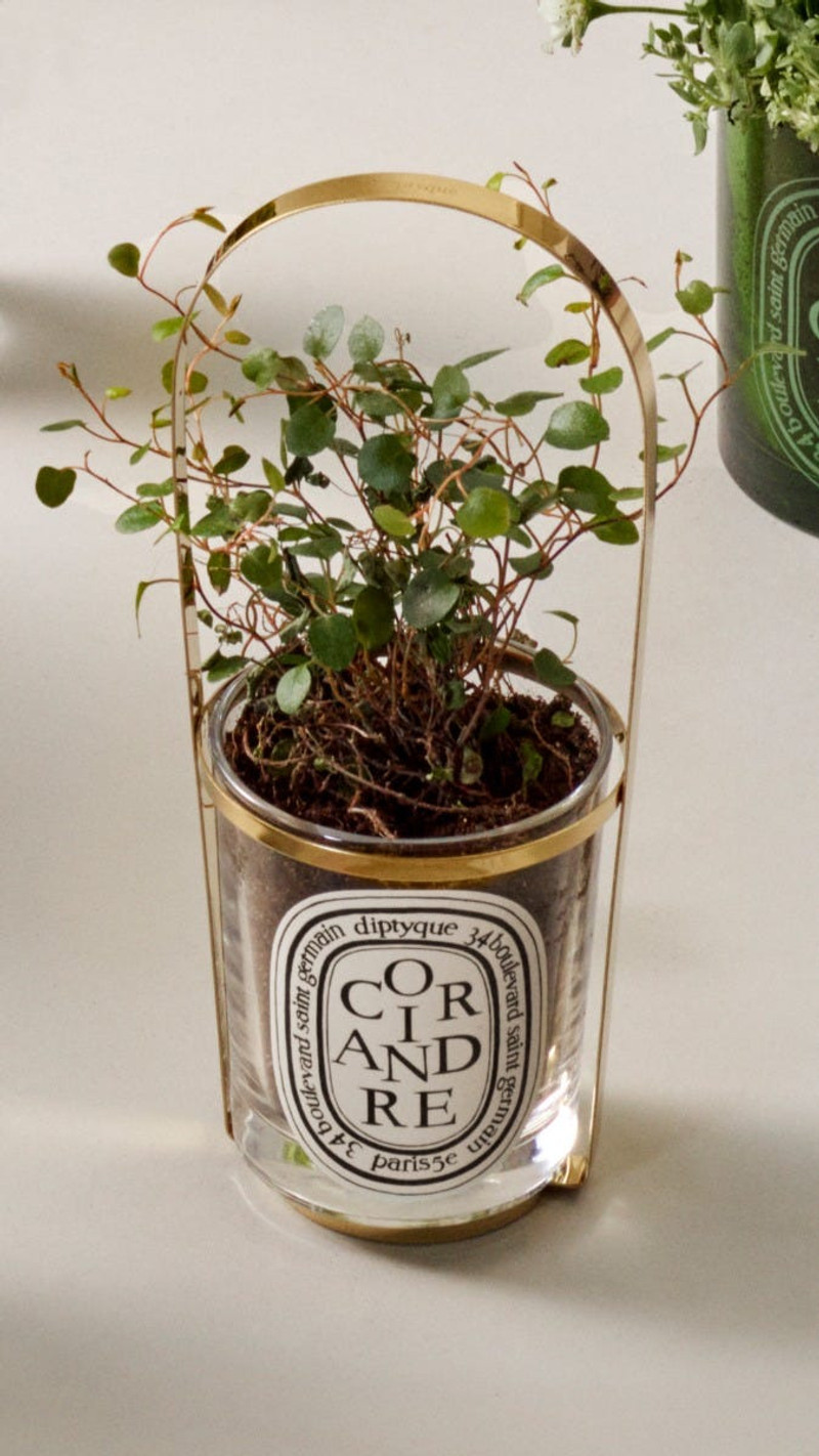 The Nomad - Second-life Accessory for empty candle jar 5