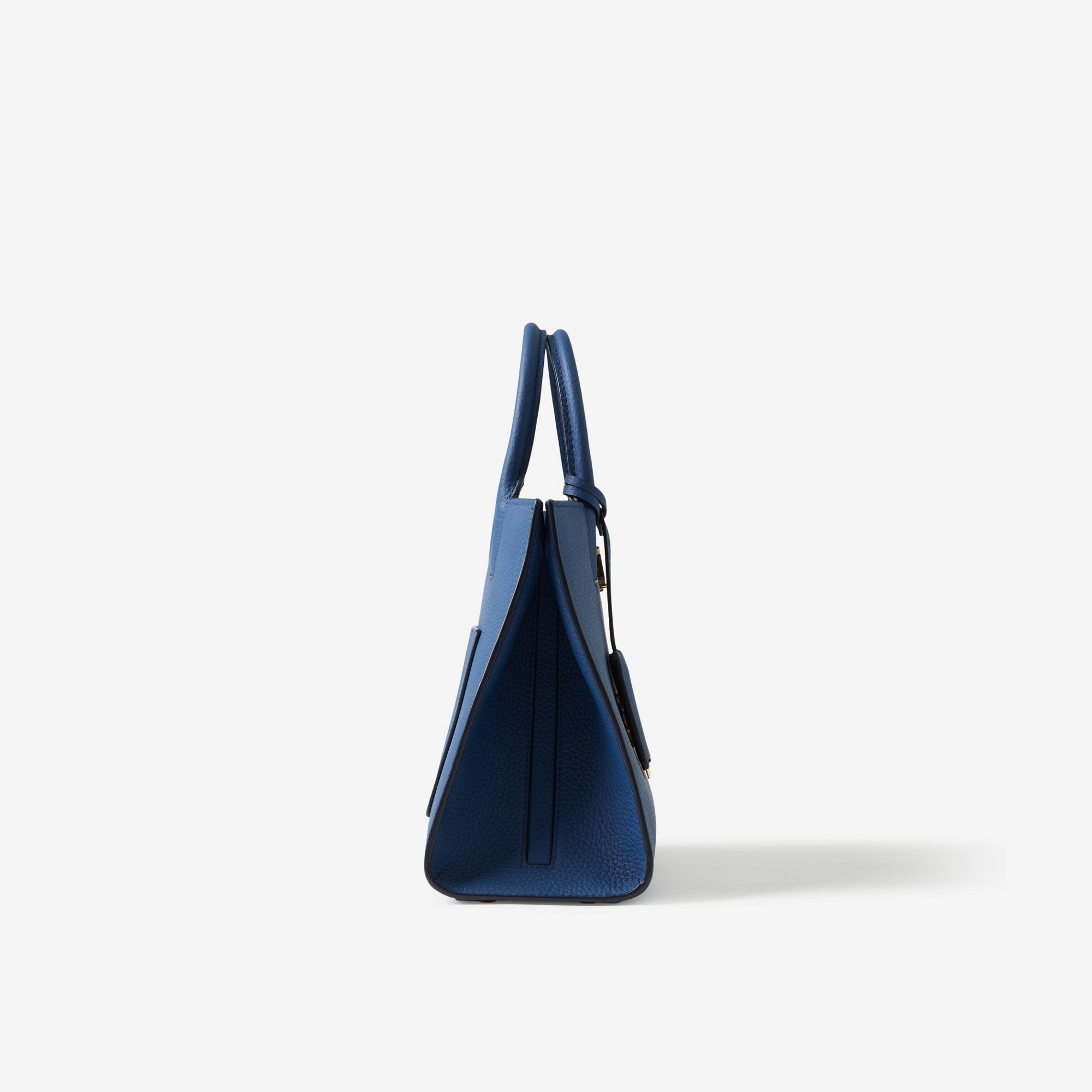 Grainy Leather Mini Frances Bag 2