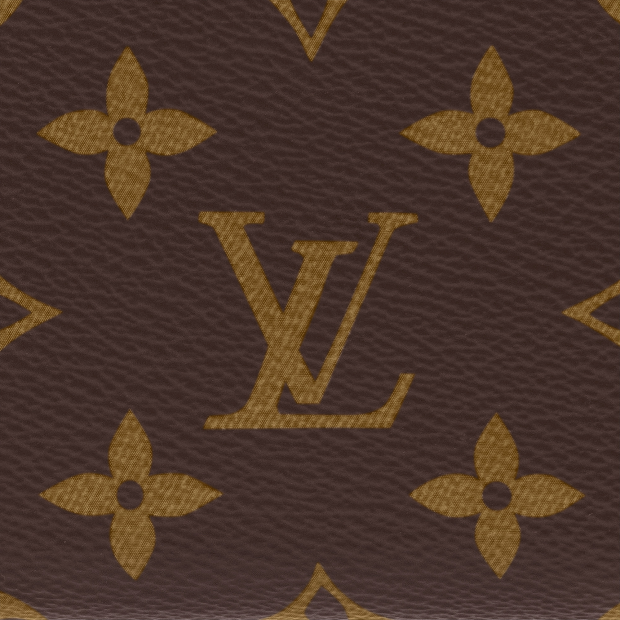 Clémence Wallet - 4