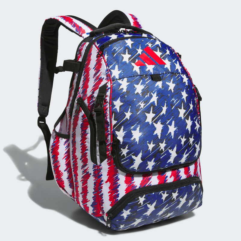 Dugout P Backpack 1