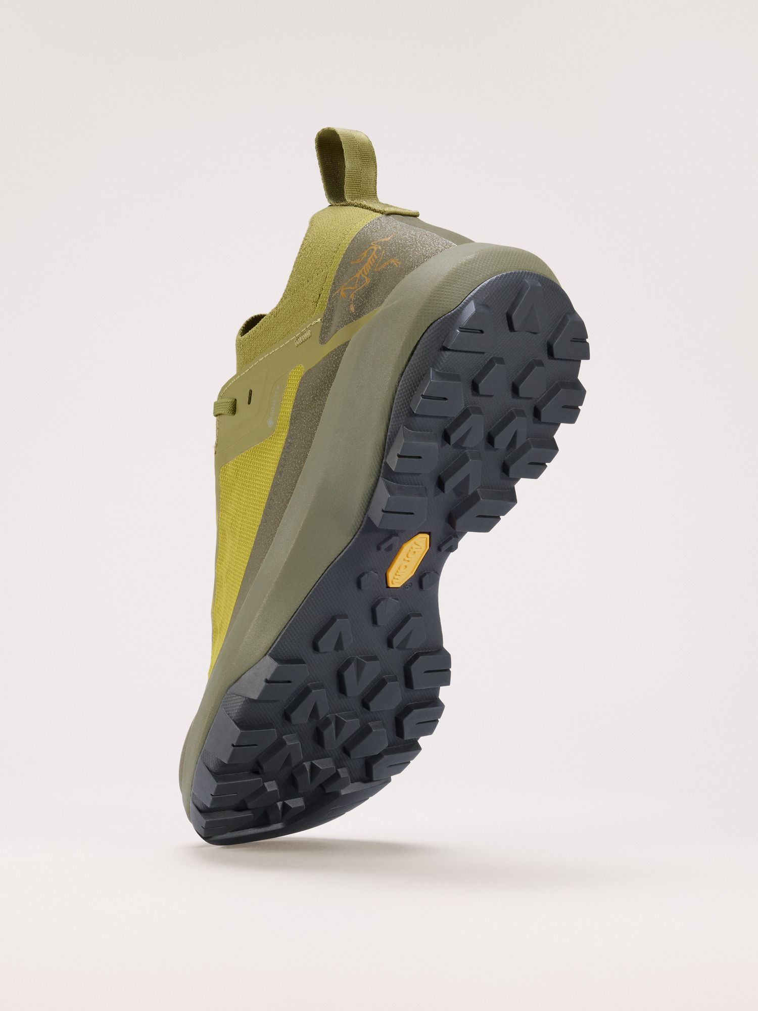 Vertex Alpine GTX Shoe - 4