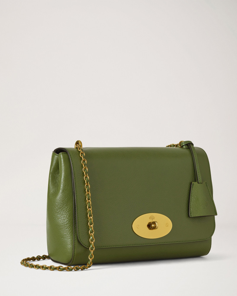 Medium Lily Fern High Shine Leather 3