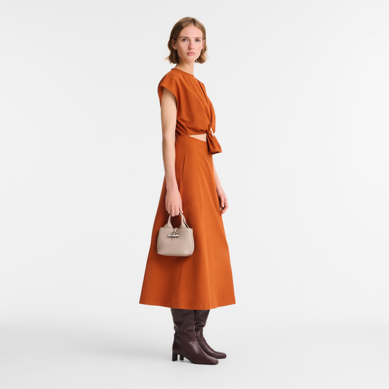 Longchamp Le Roseau XS Handbag Clay - Leather outlook