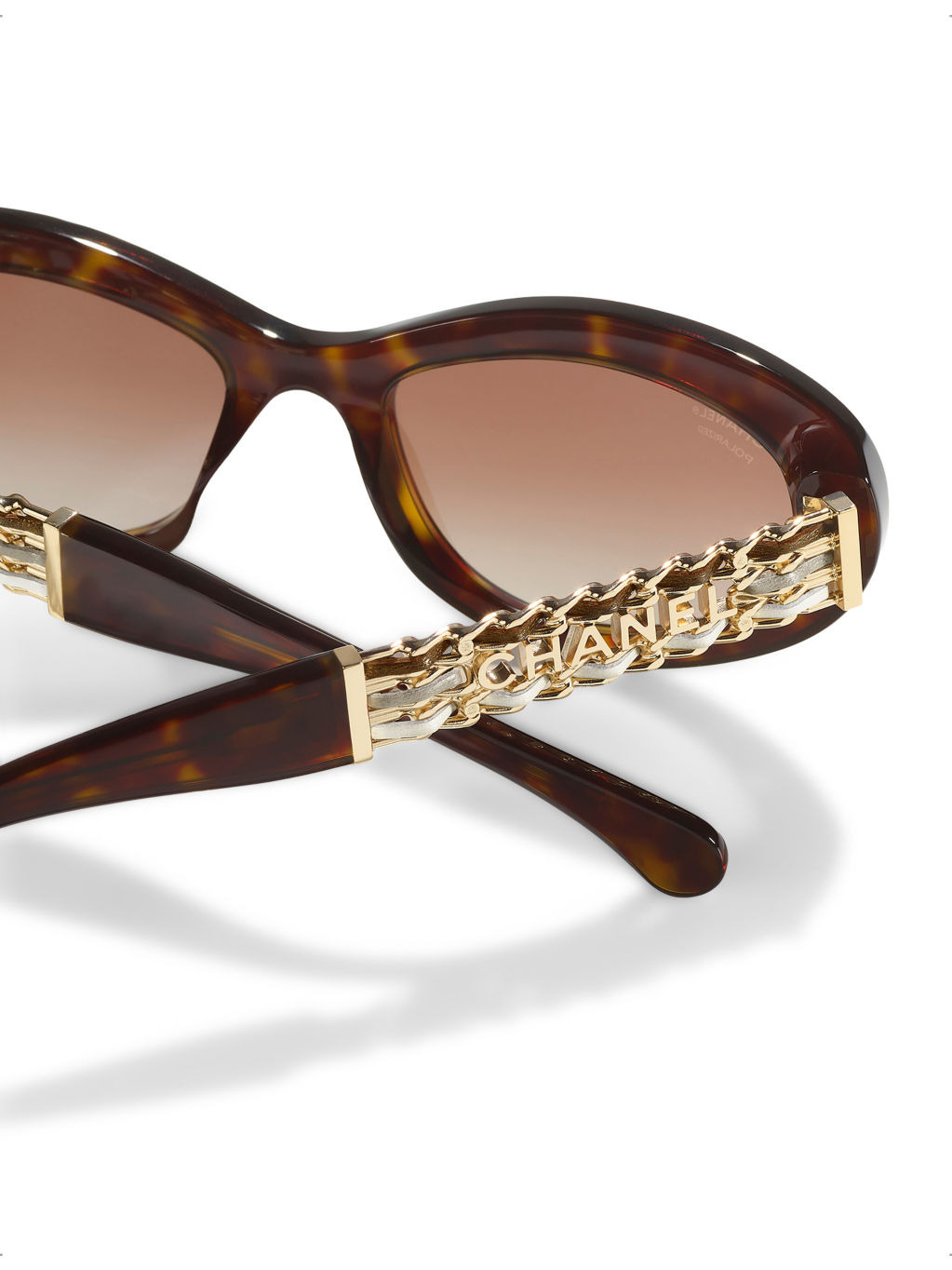 CH5538Q Cat-Eye Acetate Sunglasses - 4