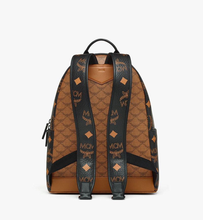 Stark Backpack in Monogram Mix 4