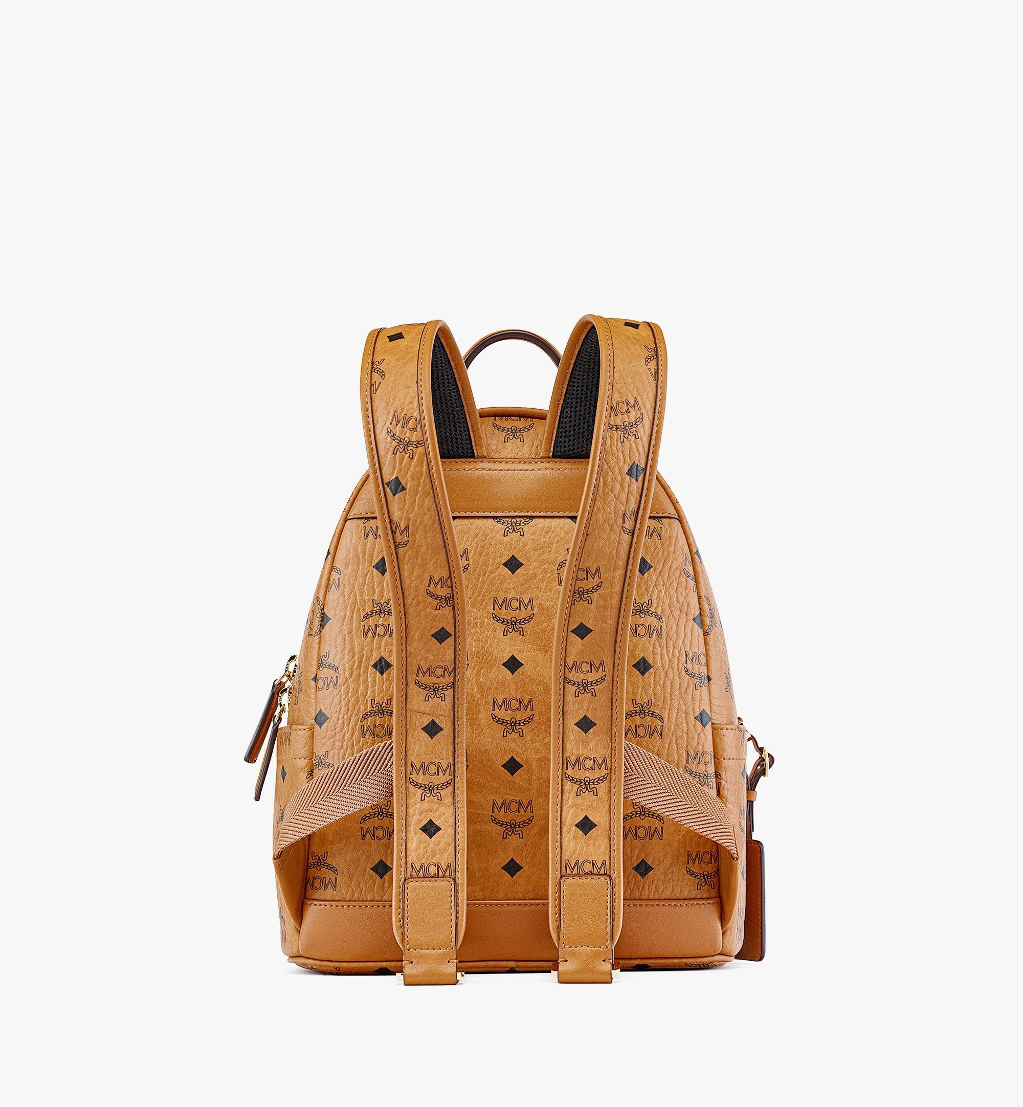 Retro Dual Stark Backpack in Visetos - 5