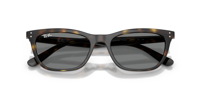 Ray-Ban RB4474D outlook