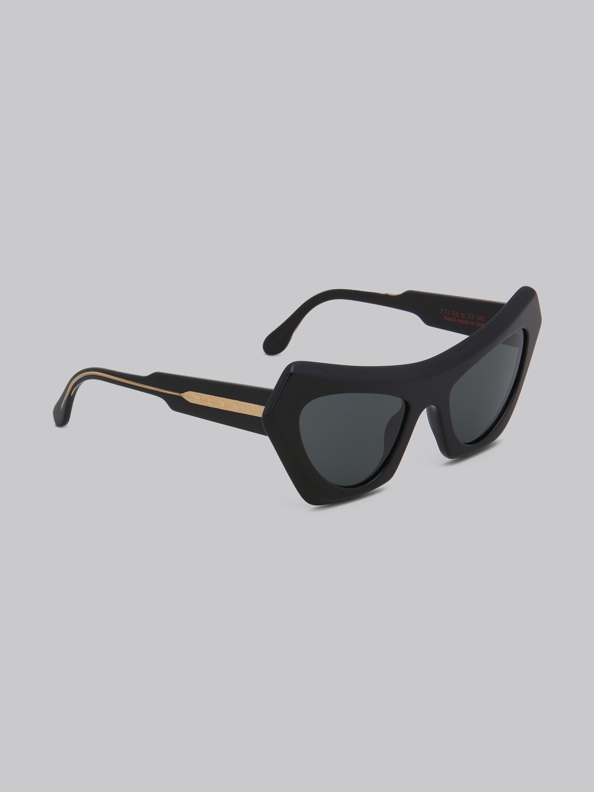 DEVIL'S POOL BLACK SUNGLASSES - 2