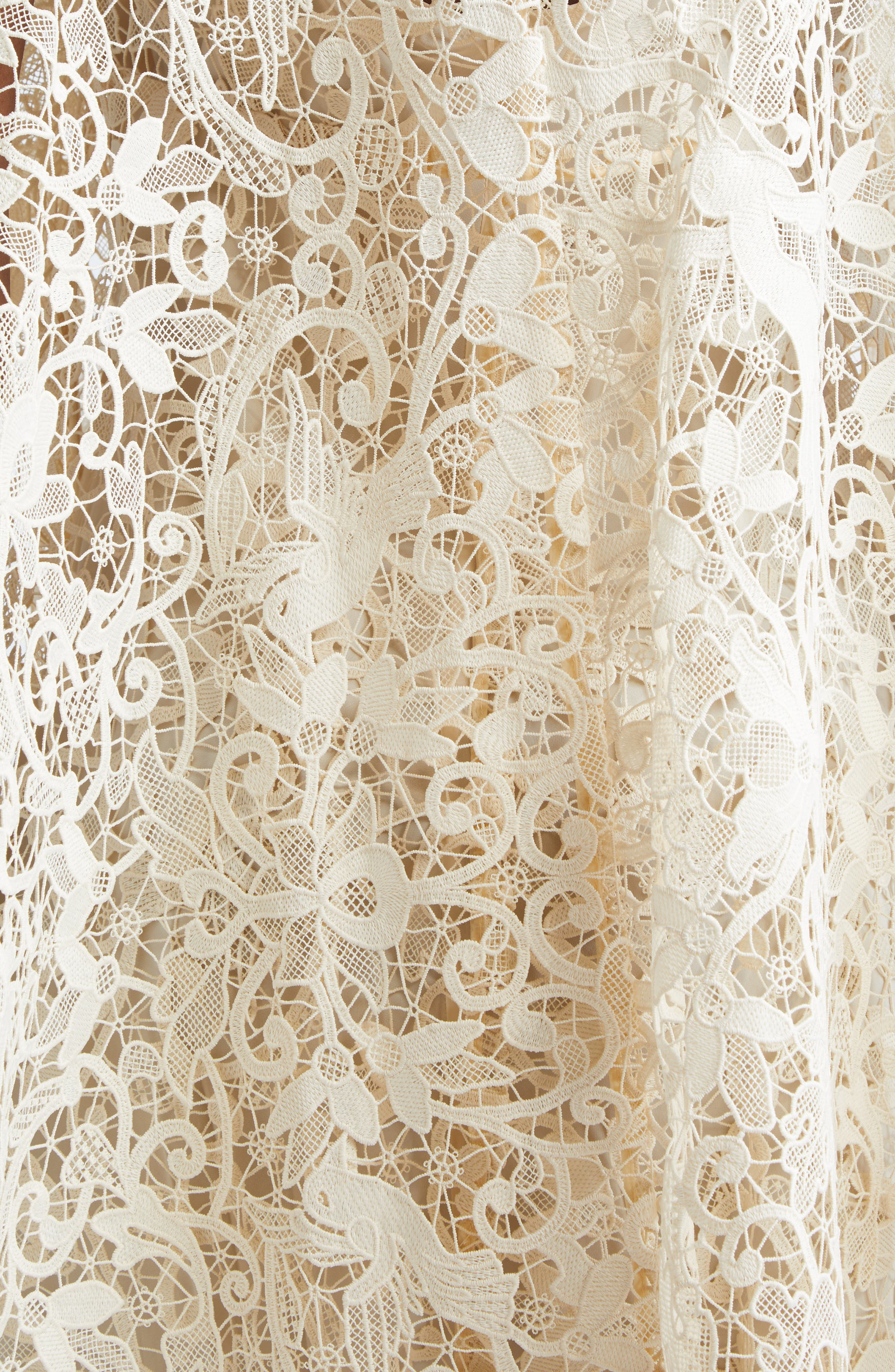Zimmermann Memento Bird Lace in Cream at Nordstrom - 6