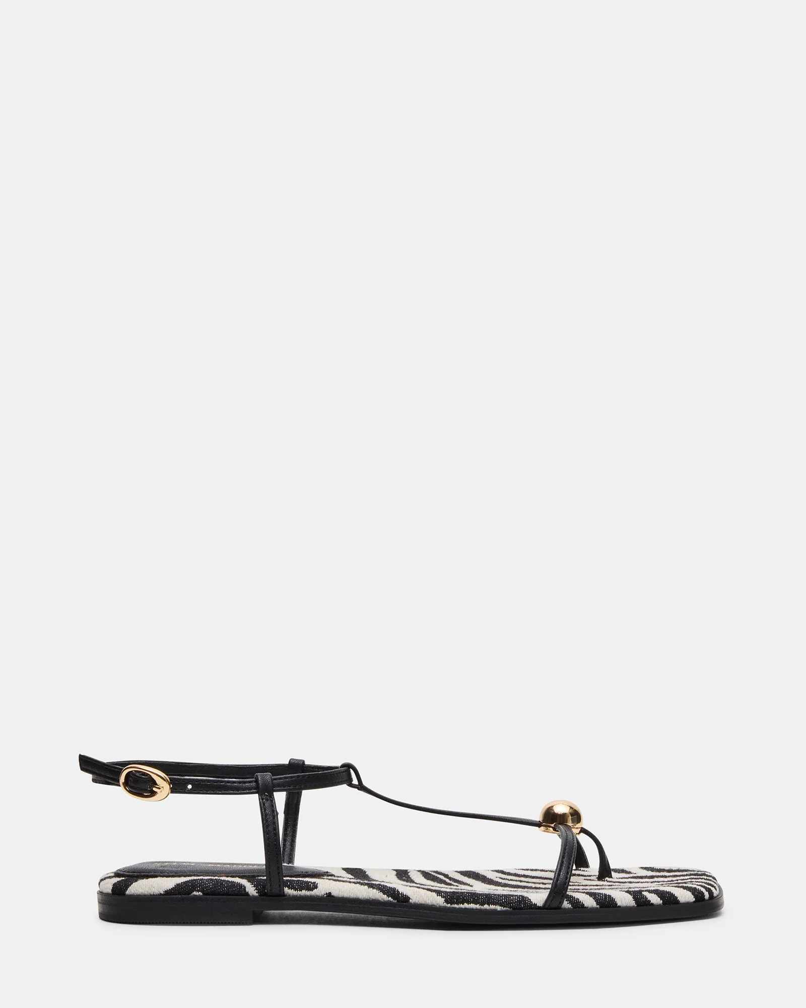 RITZY ZEBRA - 1