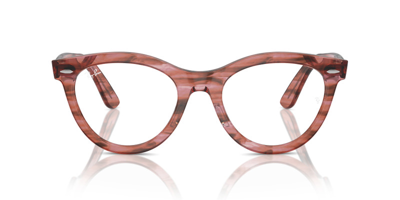 WAYFARER 경로 OPTICS 4
