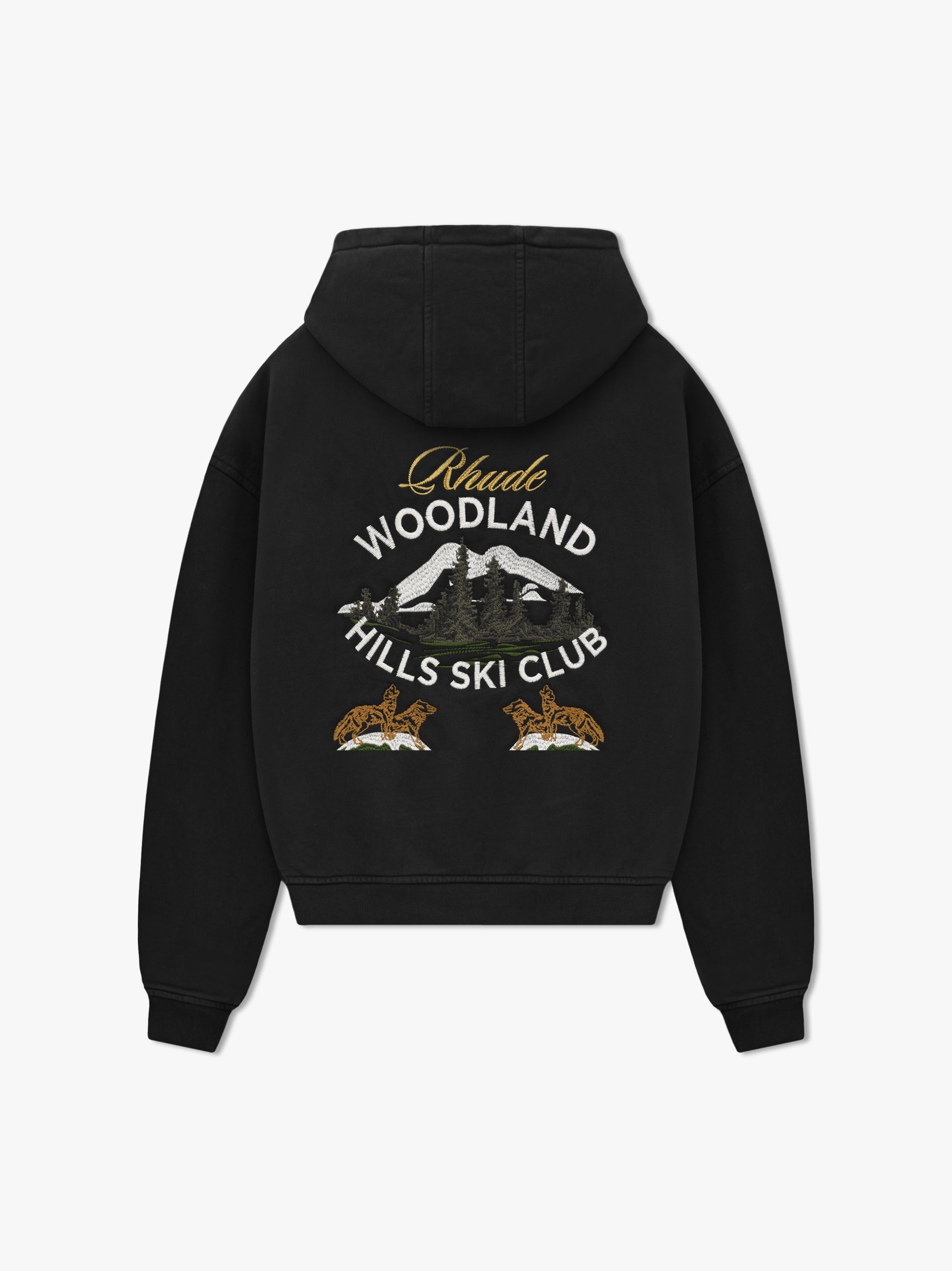 WOODLAND HILLS SKI HOODIE - 2