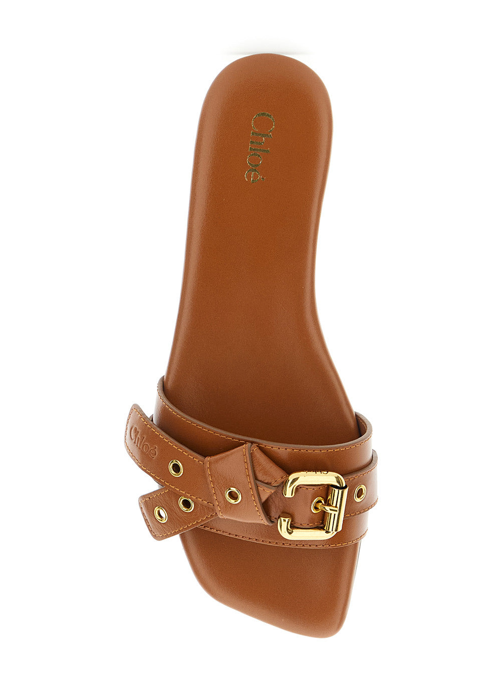 Chloé Women 'Mae' Brown Sandals With Strap Embellishment With Logo In Leather Woman - 4
