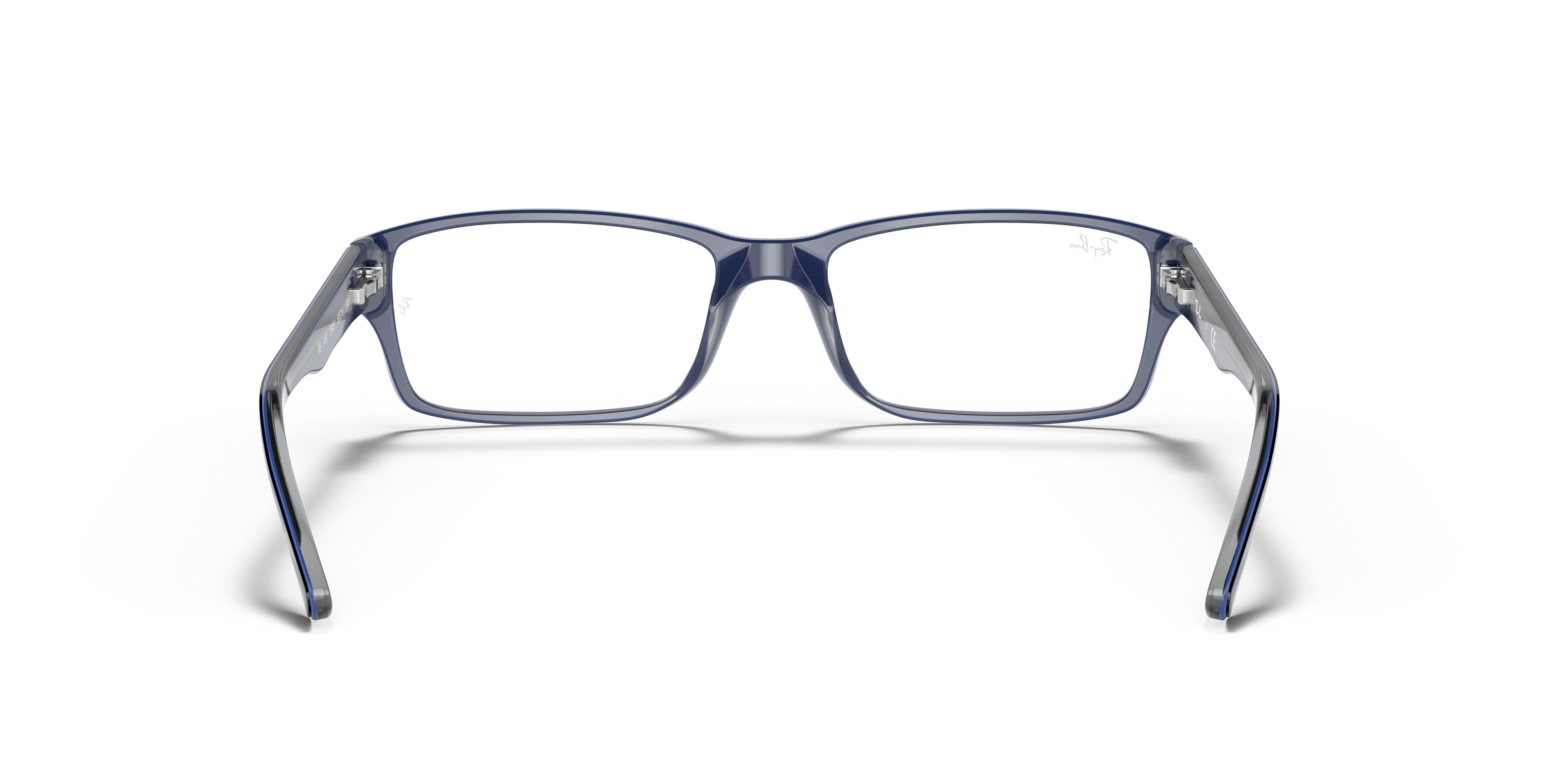 RB5169 OPTICS - 6
